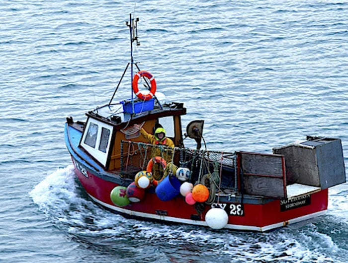 Don't Miss The Boat.