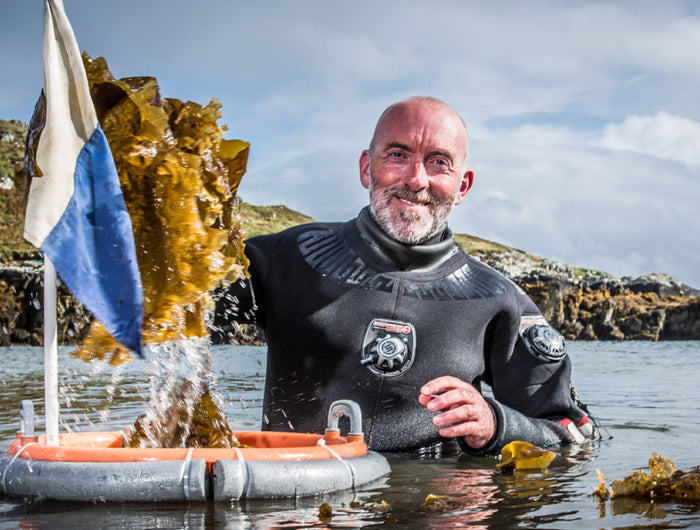 The Diver's Diary