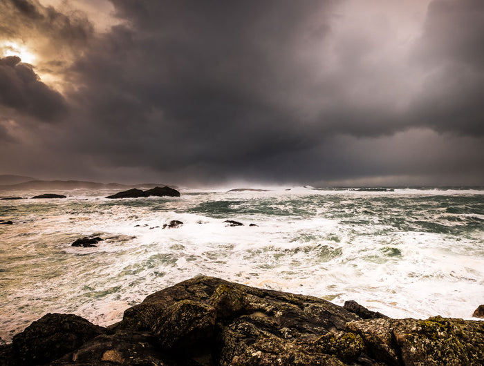 A Winter Sea Change