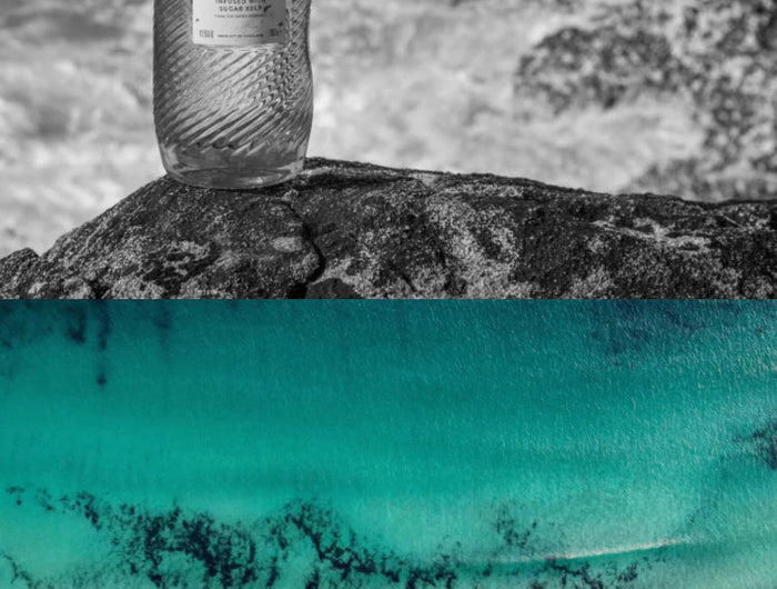 <h1>Harris Gin<br/>FROM THE SEA</h1>