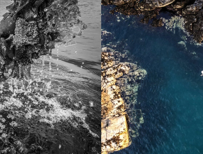 Split image showing a man in a wetsuit pulling seaweed from the sea and an aerial view of a boat floating near a rocky shoreline