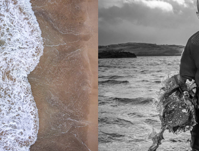 Split image showing waves breaking onto a beach and a man in a wetsuit standing by the sea holding seaweed