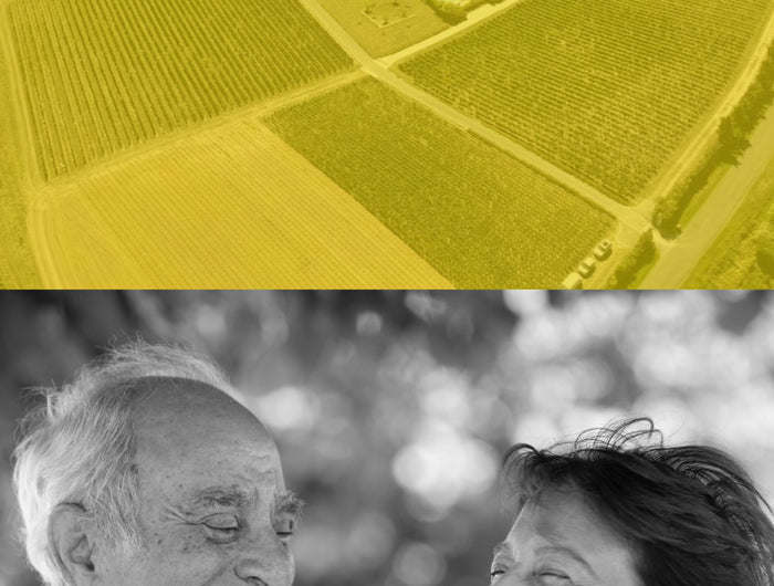stacked images the top image is an aerial shot of a vineyard and the bottom image is a black and white image of a man and woman