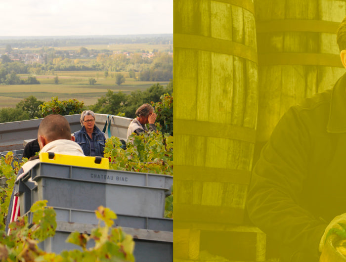 side by side images - left hand image is people working in a vineyard to pick grapes and right hand images is a main moving some whisky barrels