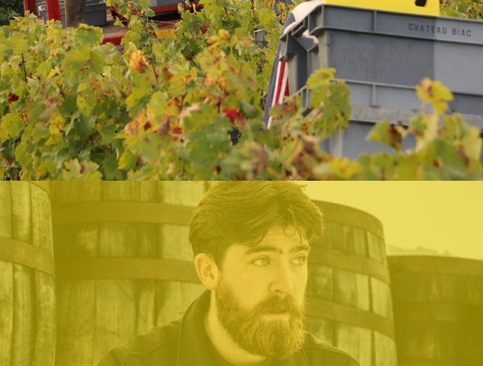 stacked images- top image is people working in a vineyard to pick grapes and bottom image is a main moving some whisky barrels