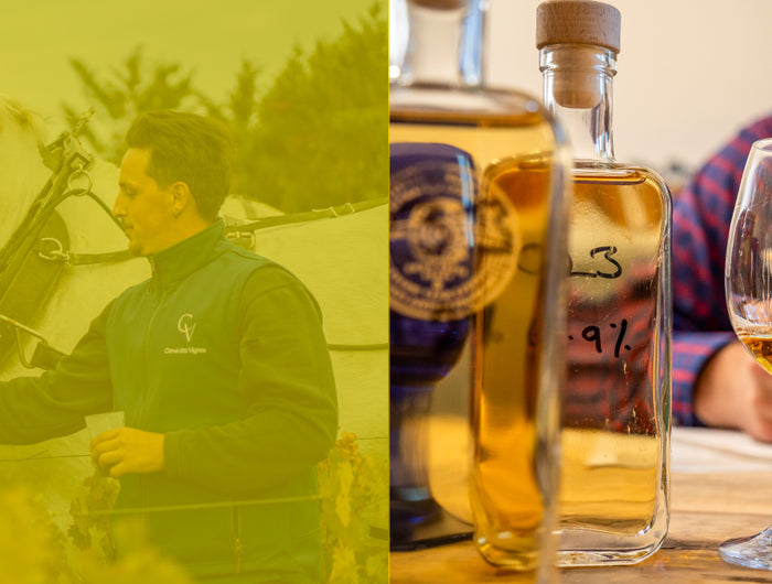 side by side images - left hand image a man with two white horse and right hand image a man reviewing and tasting different whiskies