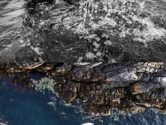 Split image showing a man in a wetsuit pulling seaweed from the sea and an aerial view of a boat floating near a rocky shoreline