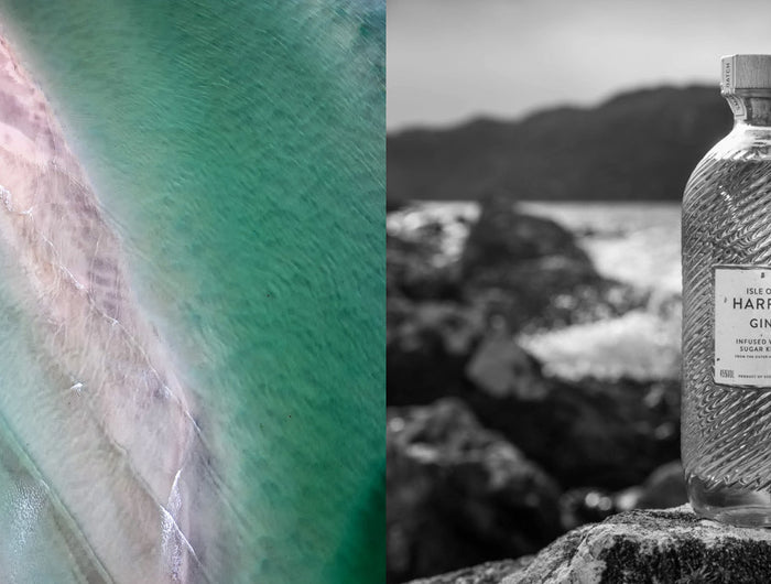 Two images side by side, first image an aerial shot of a coastline,  the secton image a black and white image of a bottle of Harris gin on a rock next to a glass