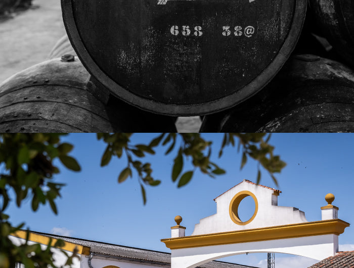 Split image showing a close-up of an Oloroso sherry cask in a warehouse and a traditional Spanish bodega exterior