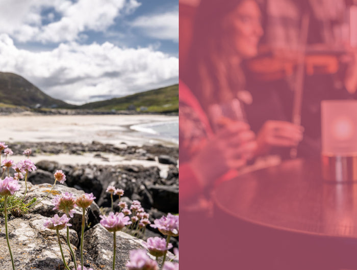 Bottle of pink Harris gin on a beach with mountains in the background, followed by a blurred image of people at a bar.