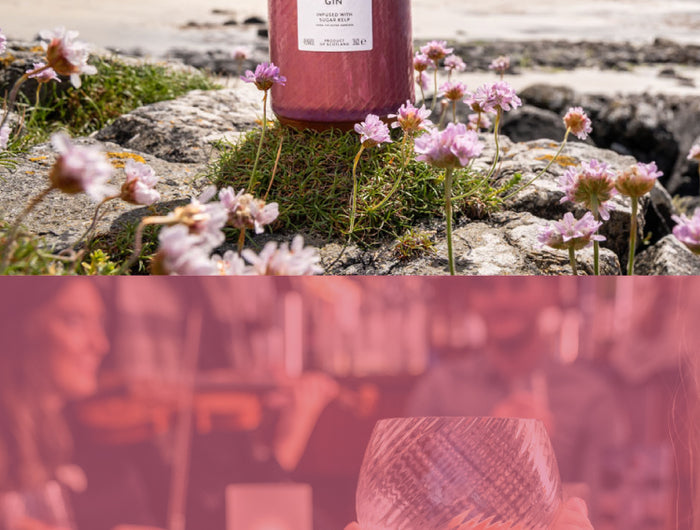 Bottle of Harris Gin on a rocky beach with flowers, followed by a blurred image of a person holding a glass.