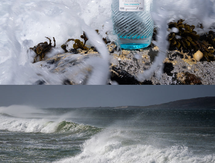 Bottle of Harris Gin on a rocky shore with waves crashing around it.
