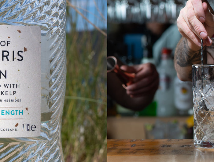 Isle of Harris gin bottle with a person making a cocktail in the background